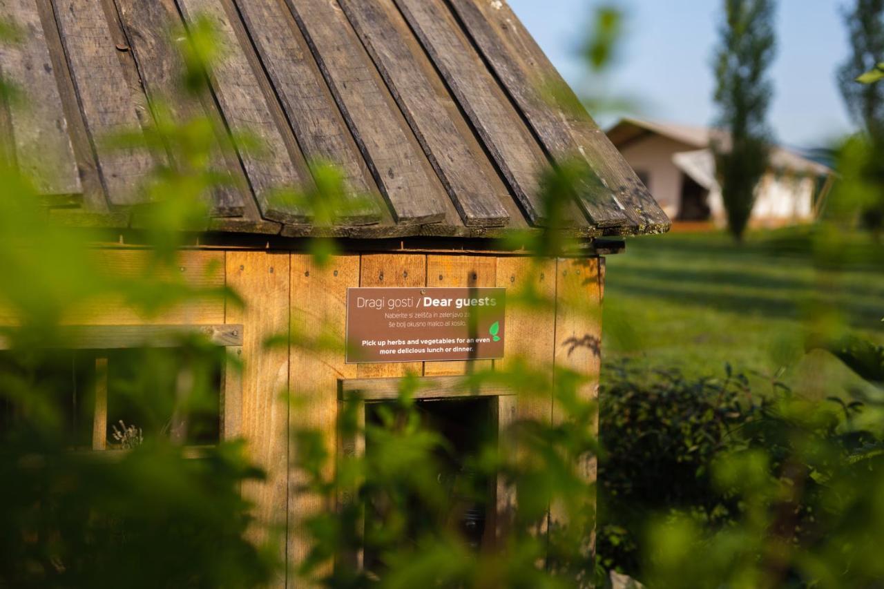 Glamping Kolpa Resort Gradac Exteriér fotografie